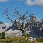 Vom Col Raiser zu Steviahütte III