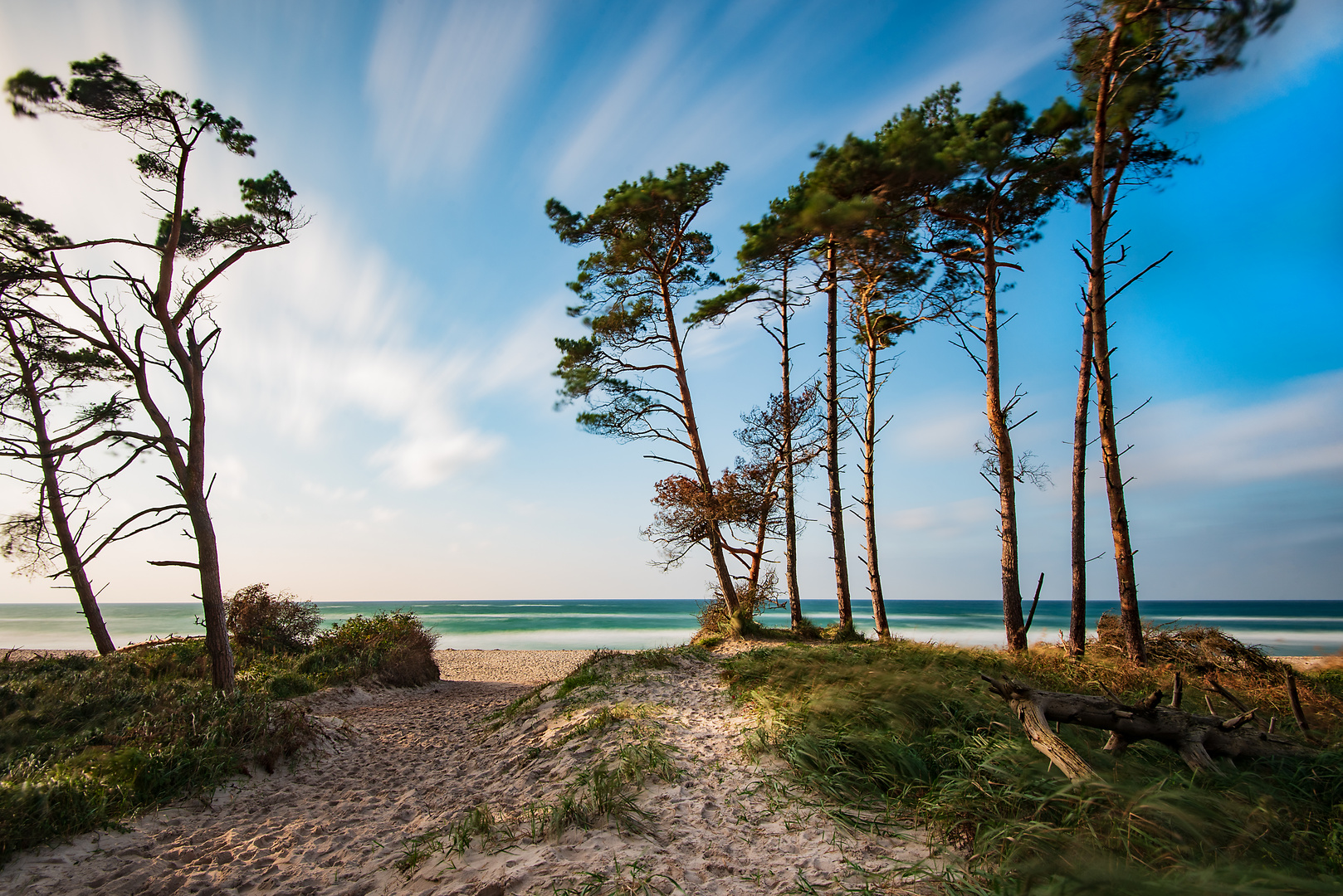 Vom Darß-Wald an den Weststrand