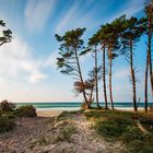 Vom Darß-Wald an den Weststrand