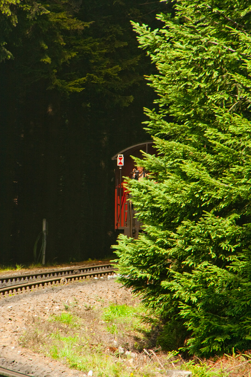 vom dichten Wald schon fast aufgesogen, die Brockenbahn