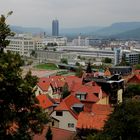 vom Dorf zur Stadt