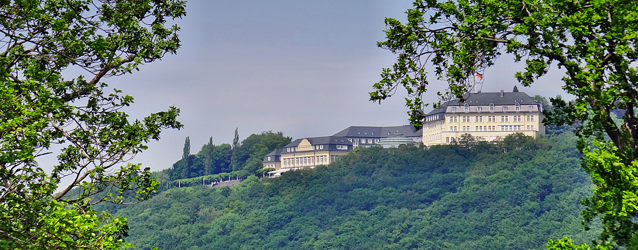 Vom Drachenfels zum Petersberg