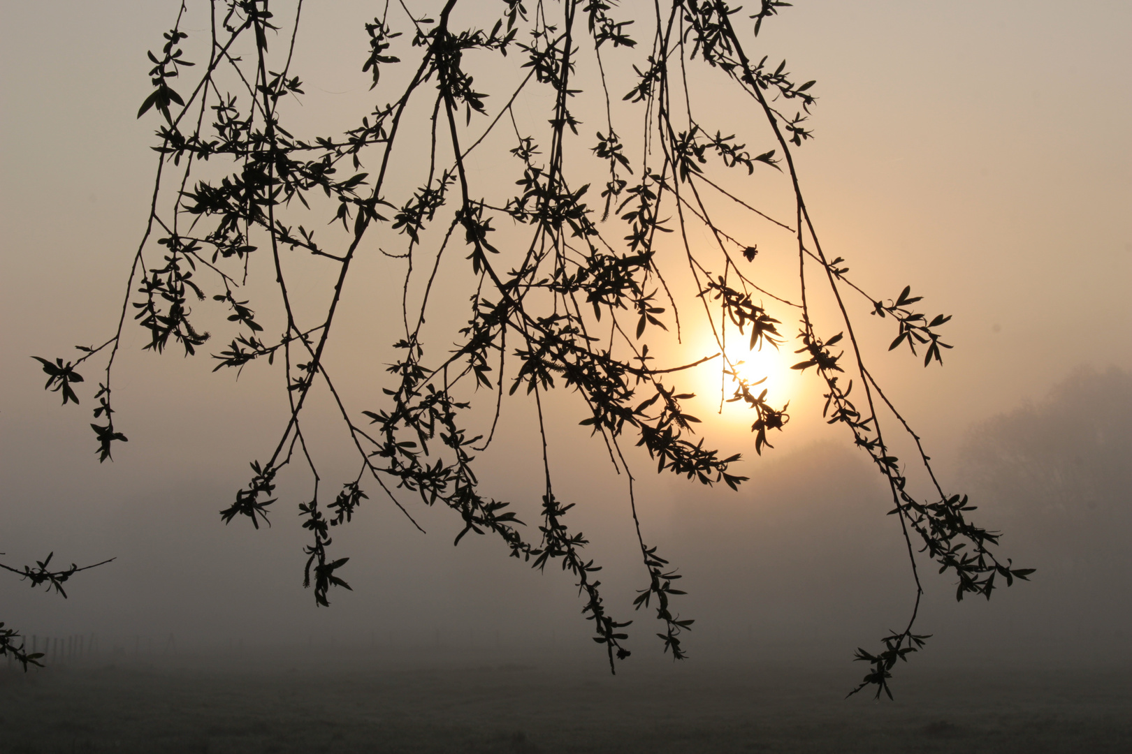 Vom Dunkel ins Licht