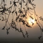 Vom Dunkel ins Licht