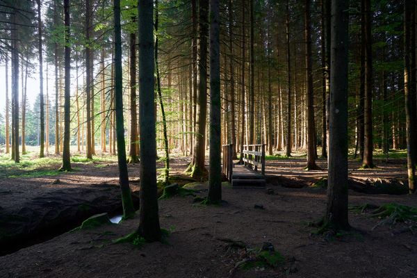 Vom dunklen ins helle