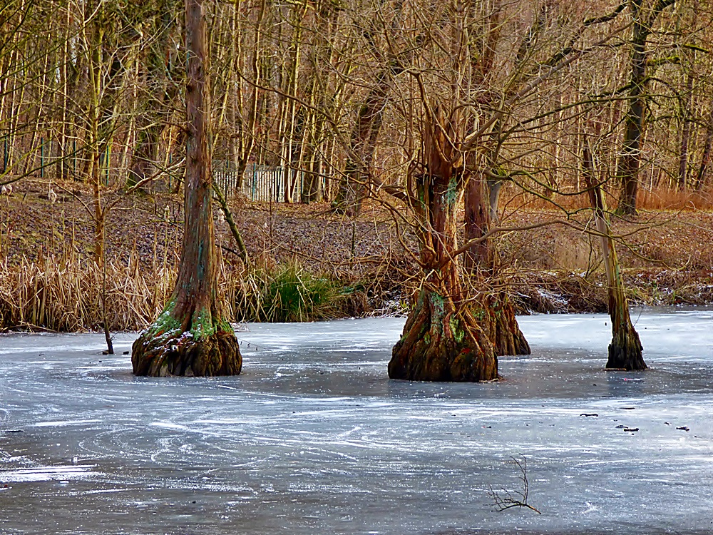 Vom Eis eingeschlossen . . .