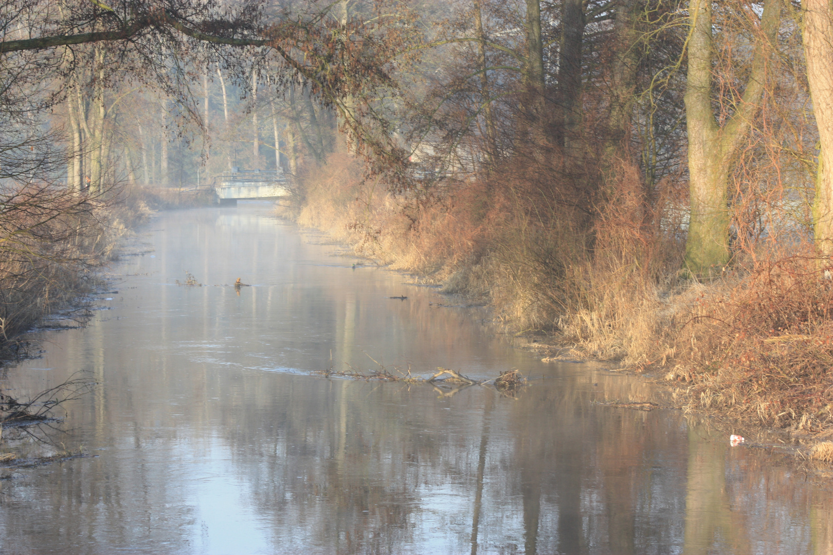 Vom Eise befreit sind Strom und Bäche....