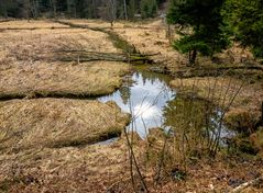 Vom Eise befreit sind Strom und Bäche… 