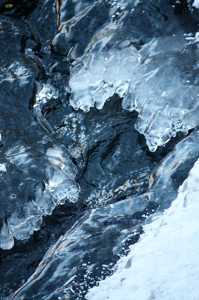 vom Eise überzigen Foto & Bild landschaften, winter, eis Bilder auf