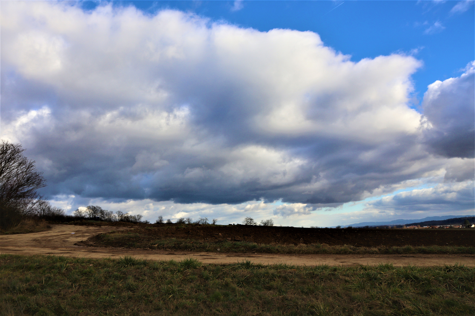 vom eisigen Wind