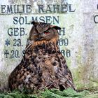 Vom Ende und dem Anfang des Lebens !