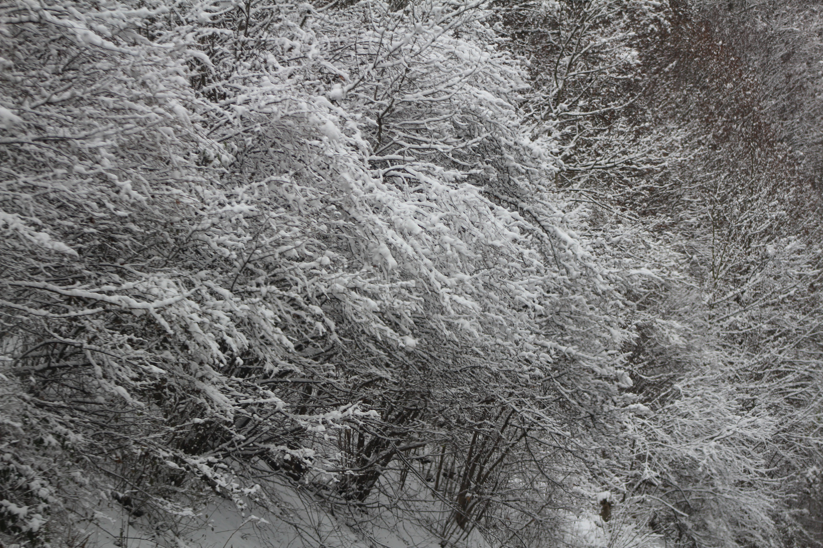 vom Erhaschen einer Landschaft im Schnee erzählend