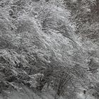 vom Erhaschen einer Landschaft im Schnee erzählend