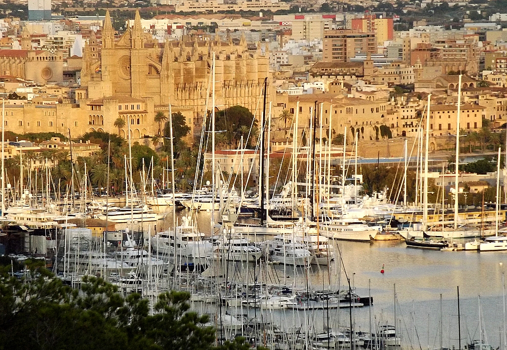 Vom Ersten Mallorquinischen Konzil