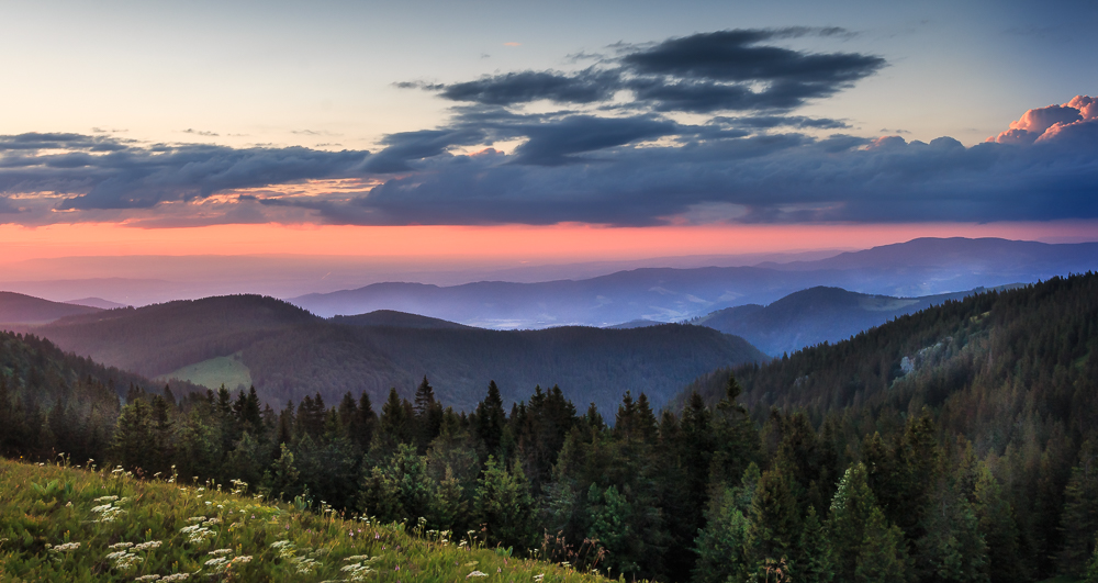 Vom Feldberg ins Elsass geschaut