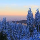 Vom Feldberg nach Frankfurt