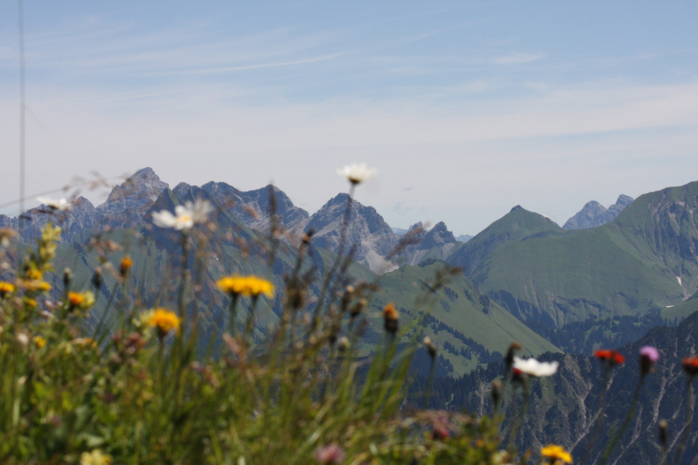 Vom Fellhorn im Allgäu