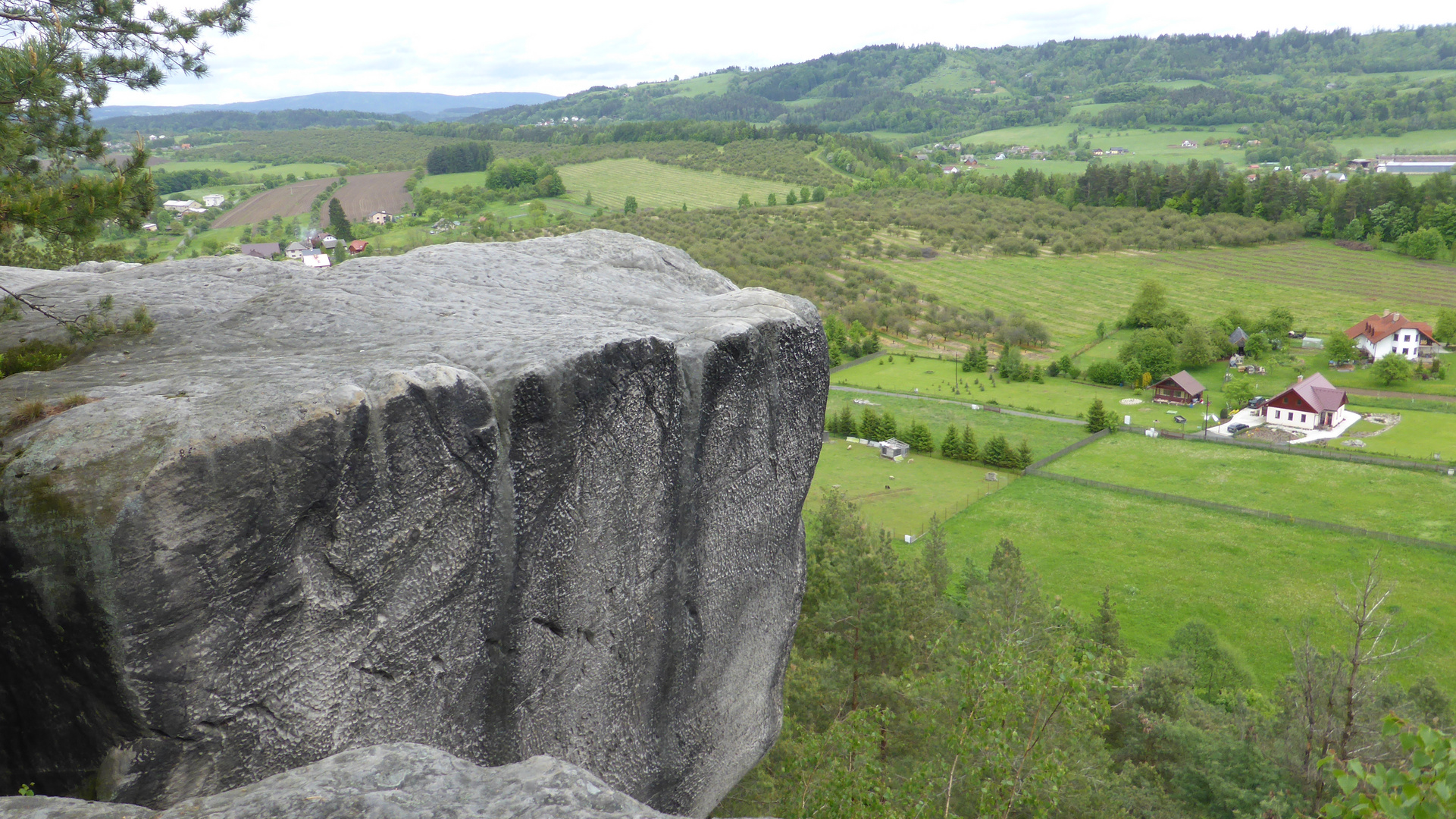 vom Felsen geschaut