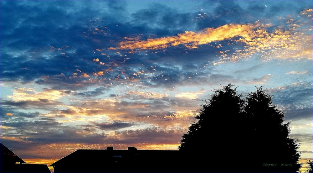 Vom  Fenster   aus gesehen