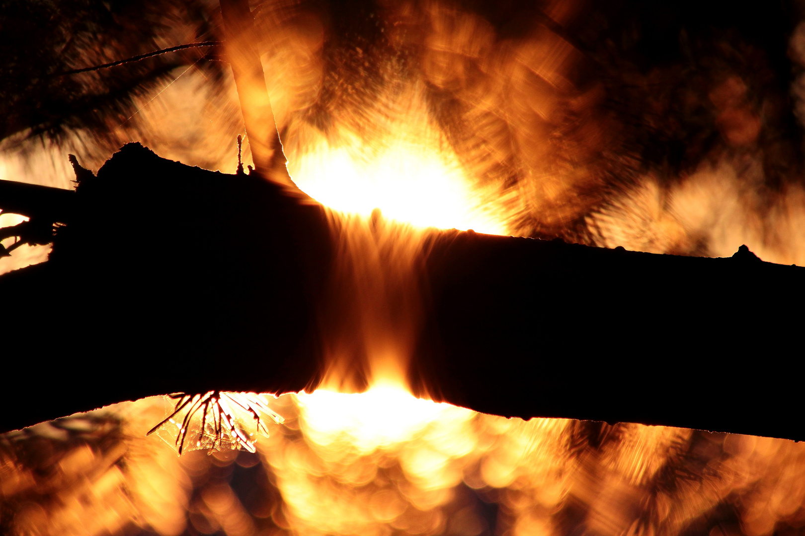 Vom Feuer umschlungen