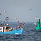 Vom Fischfang zurück