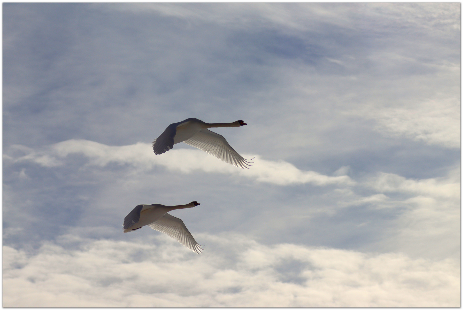 vom Fliegen