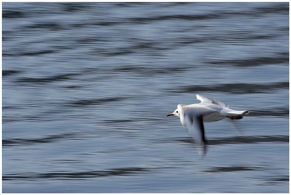 Vom Fliegen über das Meer