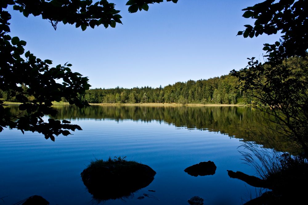 Vom Franzl im Holz zum Laudachsee.....