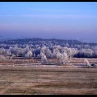 vom frost bedekt.