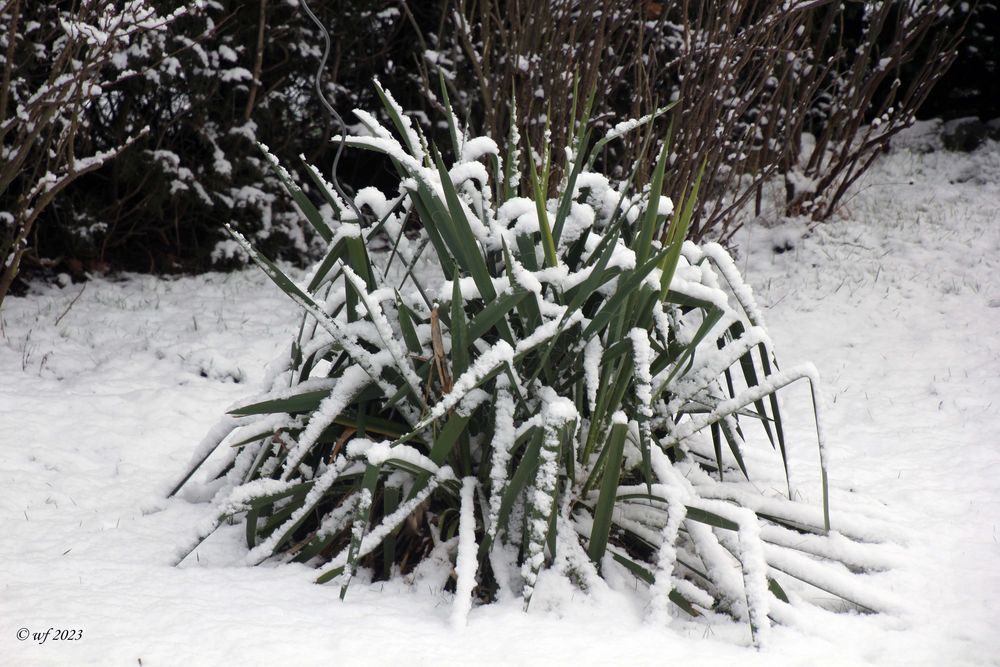 Vom Frühling keine Spur