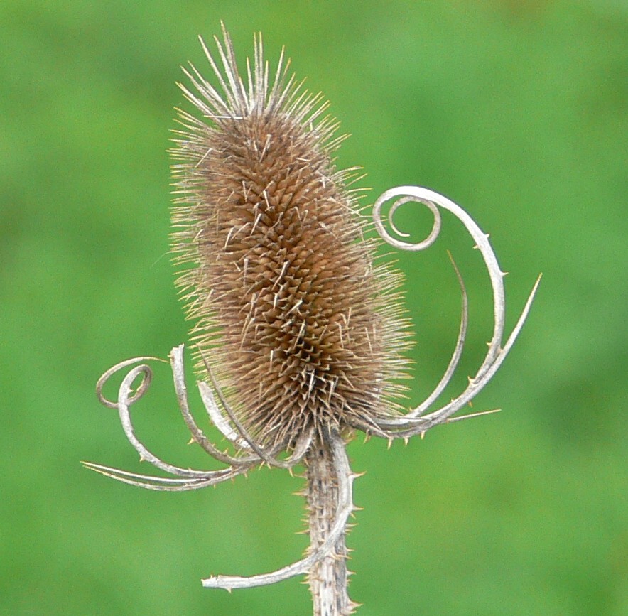 vom Frühling noch unbeeindruckt