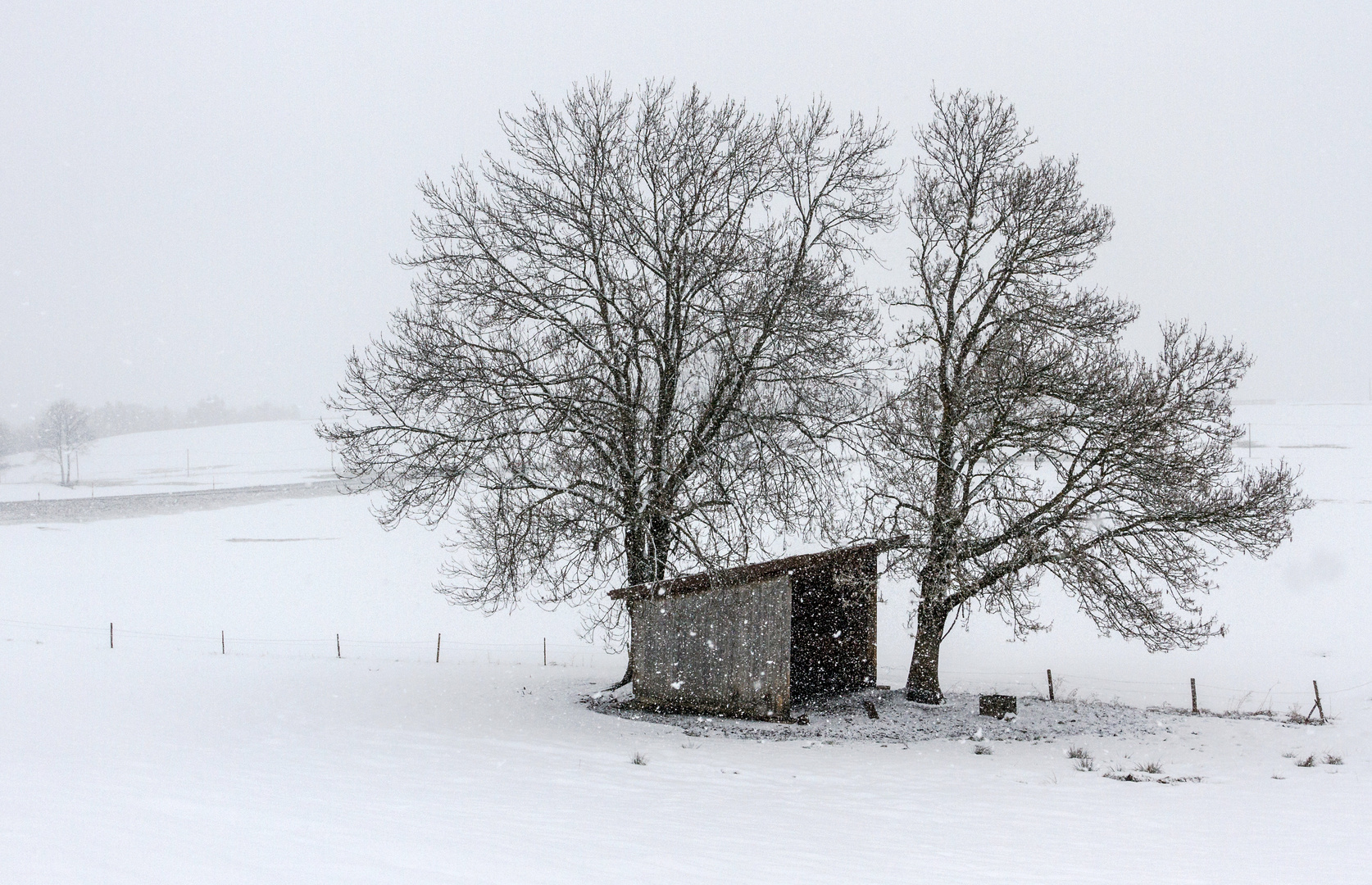 Vom Frühling noch weit entfernt...