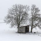 Vom Frühling noch weit entfernt...