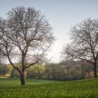 vom Frühling träumen