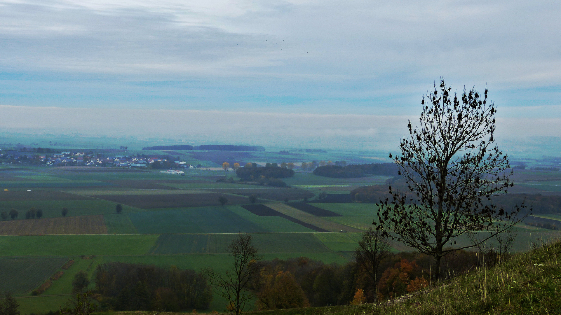 Vom Gelben Berg, 