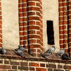 Vom Giebel der Mönchskirche aus haben sie einen guten Überblick