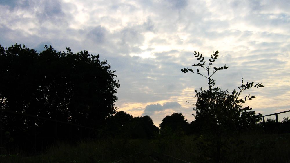 Vom Gleis in die Nacht