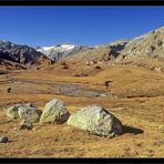 Vom Gletscher liegengelassen