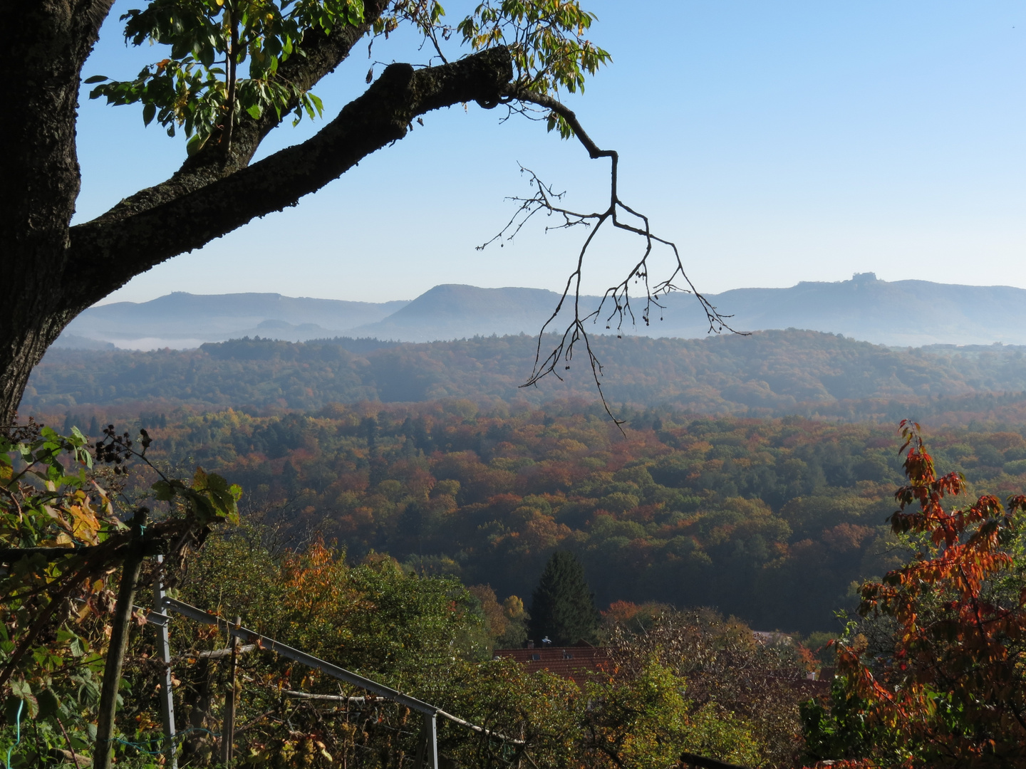 vom Grafenberg aus