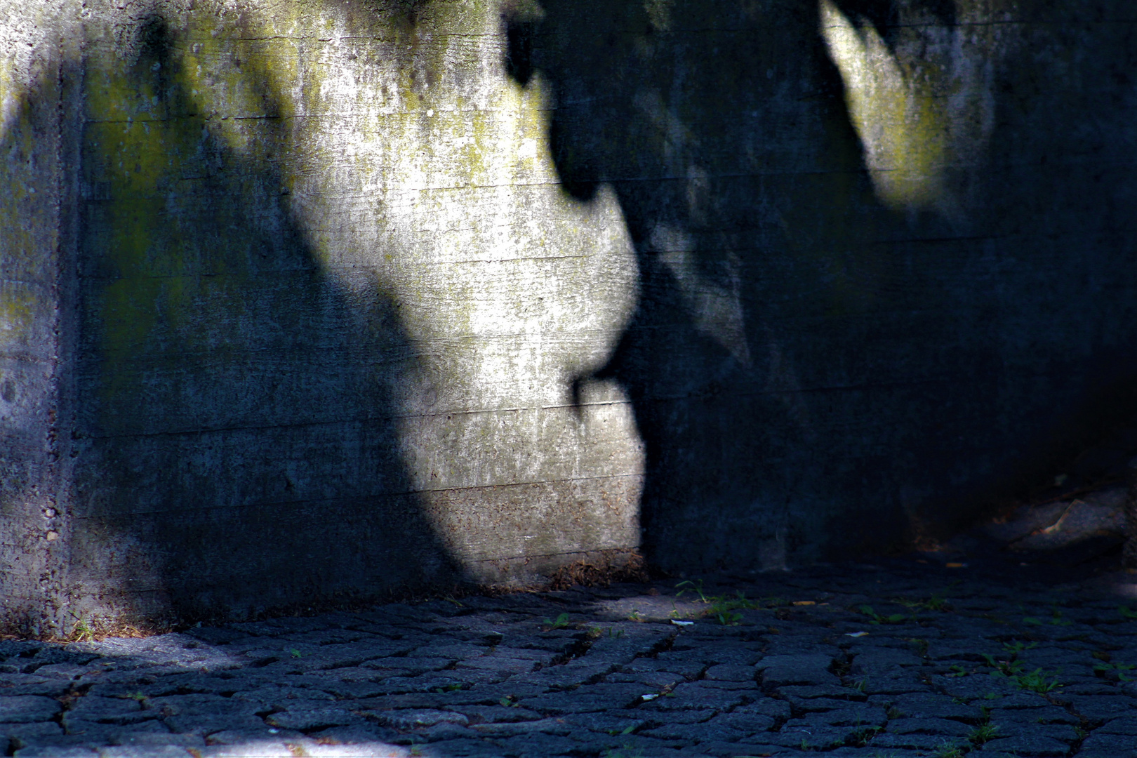 vom großen Auftritt des Licht und Schattenspieles