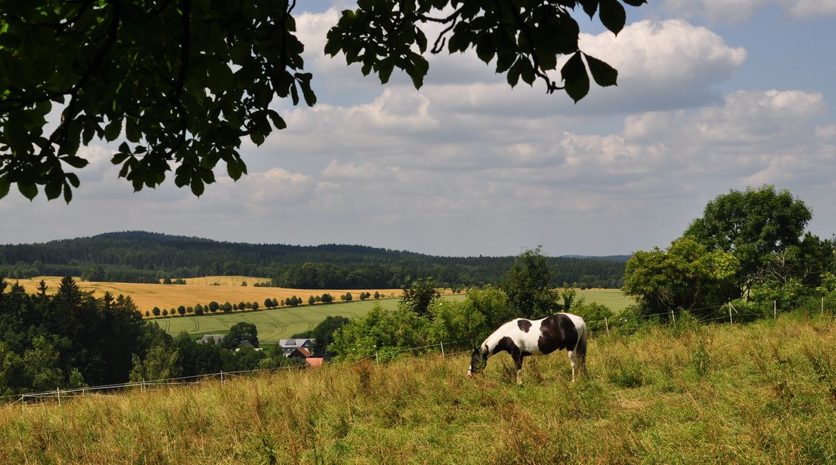 Vom Hainberg