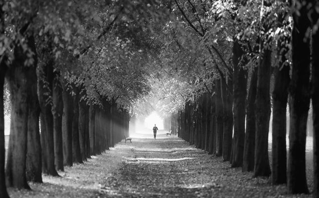 Vom halbleisen Licht 2...-