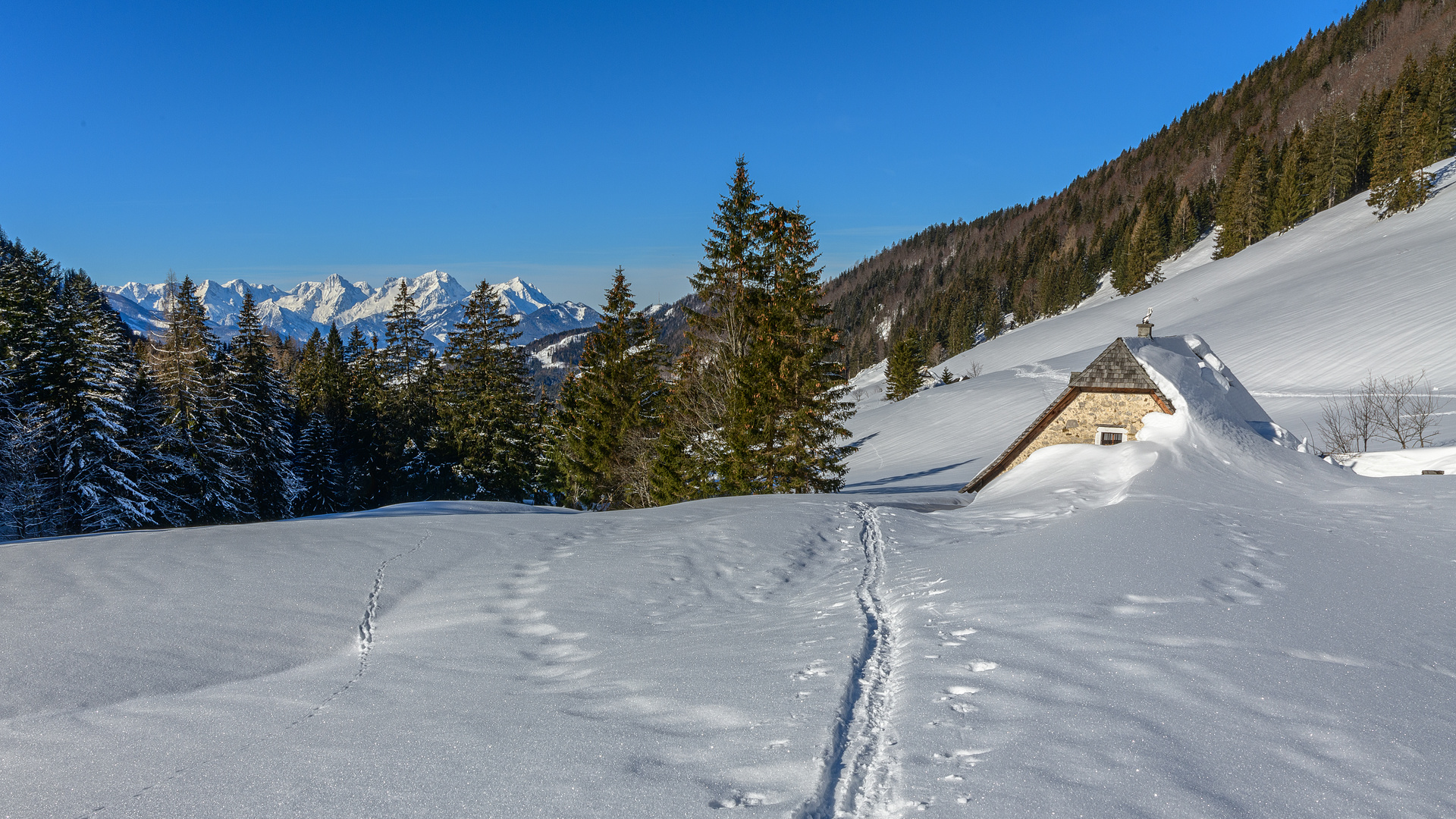 Vom Hengstpass zur Dörflmoaralm ...