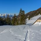 Vom Hengstpass zur Dörflmoaralm ...