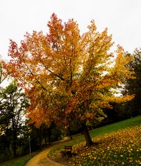 Vom Herbst - 1 - 