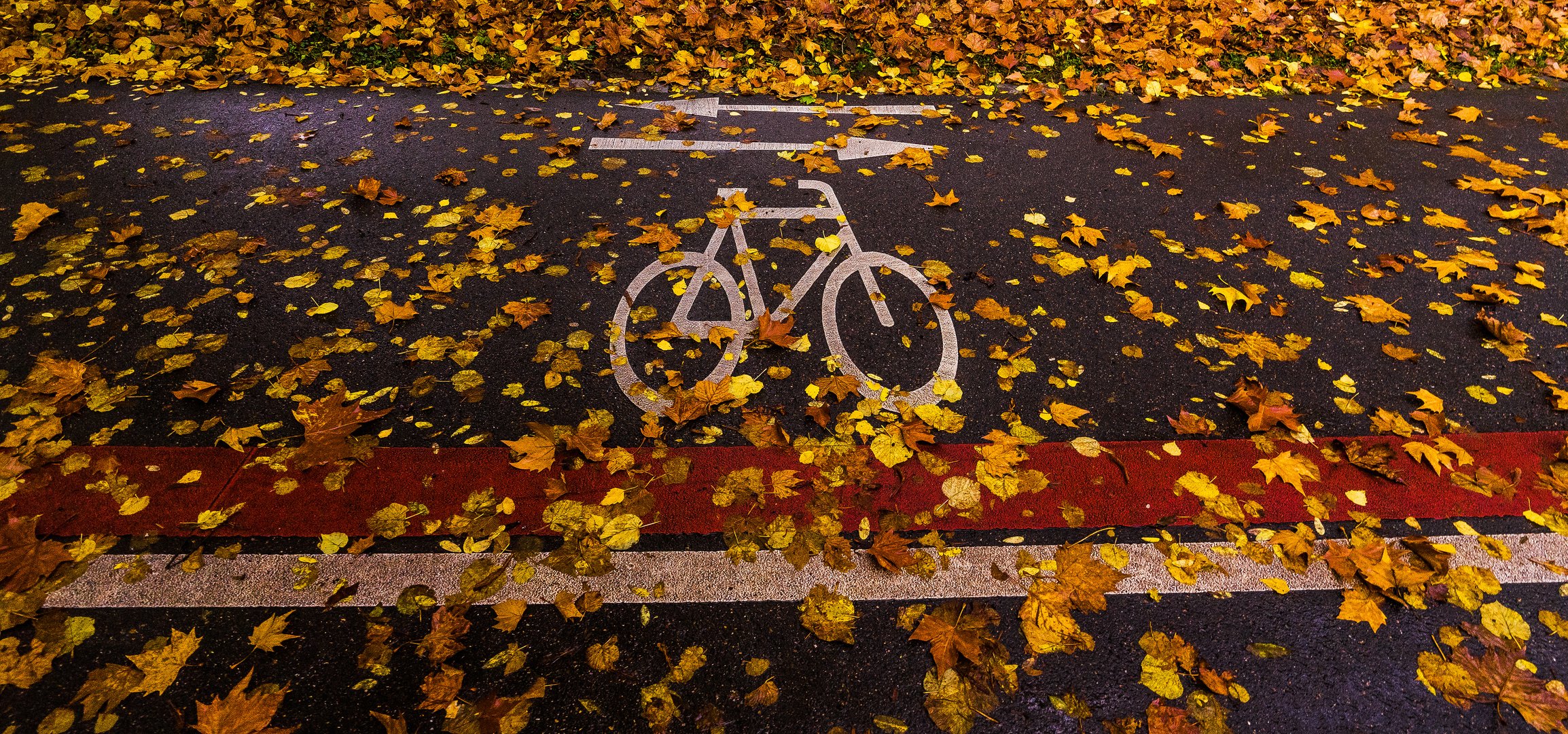 Vom Herbst am Radweg