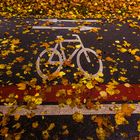 Vom Herbst am Radweg