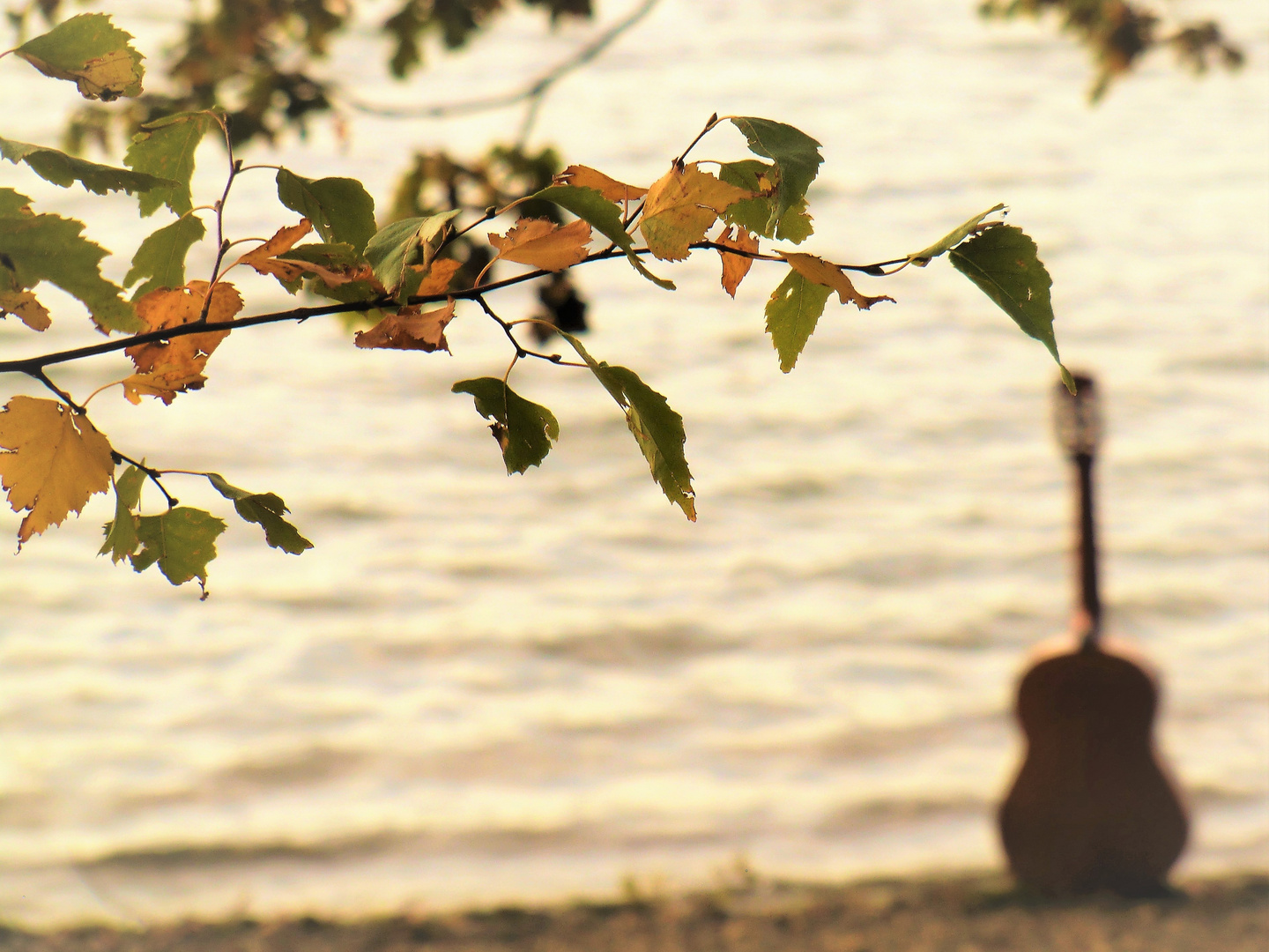 Vom Herbst berührt