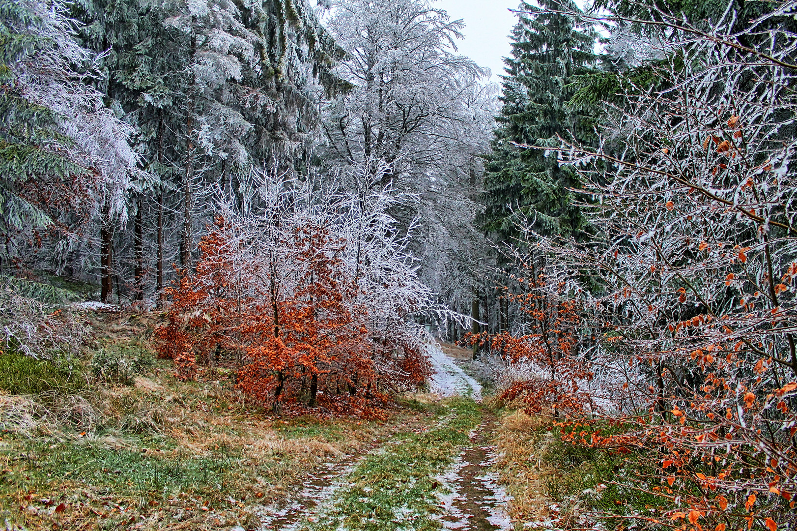 Vom Herbst in den Winter