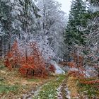 Vom Herbst in den Winter